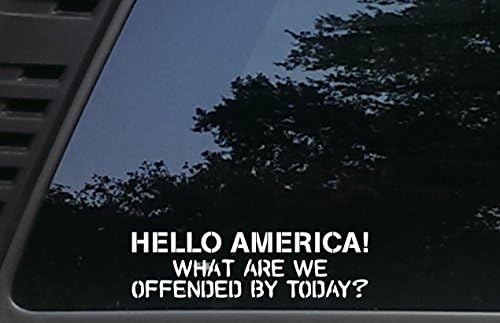 Zdravo Ameriko! Šta smo danas uvrijeđeni? - 8& 34; x 2 1/4 die Cut Vinyl Decal/naljepnica za automobile, kamioni, prozori, brodovi,
