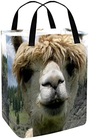 Alpaka životinja Lama alpaka Print sklopiva korpa za veš, 60L vodootporne korpe za veš kante za pranje veša igračke za odlaganje spavaonice