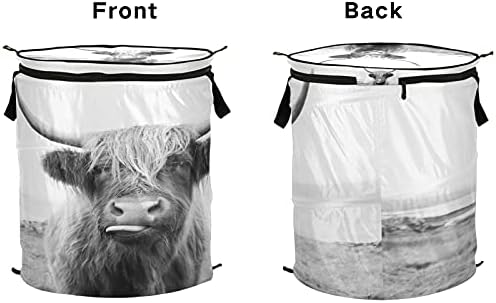 xigua Funny Scottish Highland Cow popup korpa za veš, sklopiva prenosiva korpa za prljavu odeću sa poklopcem sa patentnim zatvaračem, korpa za prljavu odeću za spavaću sobu, dečiju sobu, spavaonicu