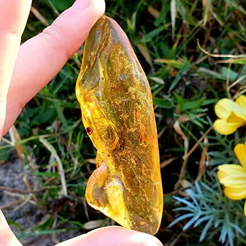 Amber Polirano AA razred prirodne prozirne jedinstvene u obliku fosilizirane smole Crystal Healing Dragistone - Amber # 3